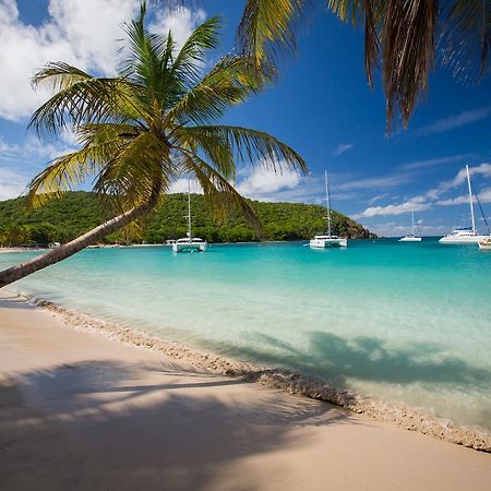 ホテルSalt Whistle Bay Retreat Mayreau Island エクステリア 写真