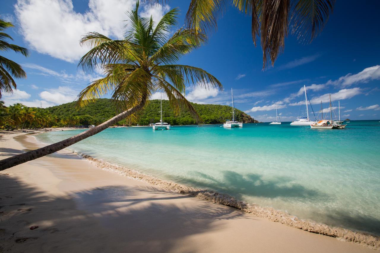 ホテルSalt Whistle Bay Retreat Mayreau Island エクステリア 写真